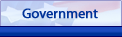 Government